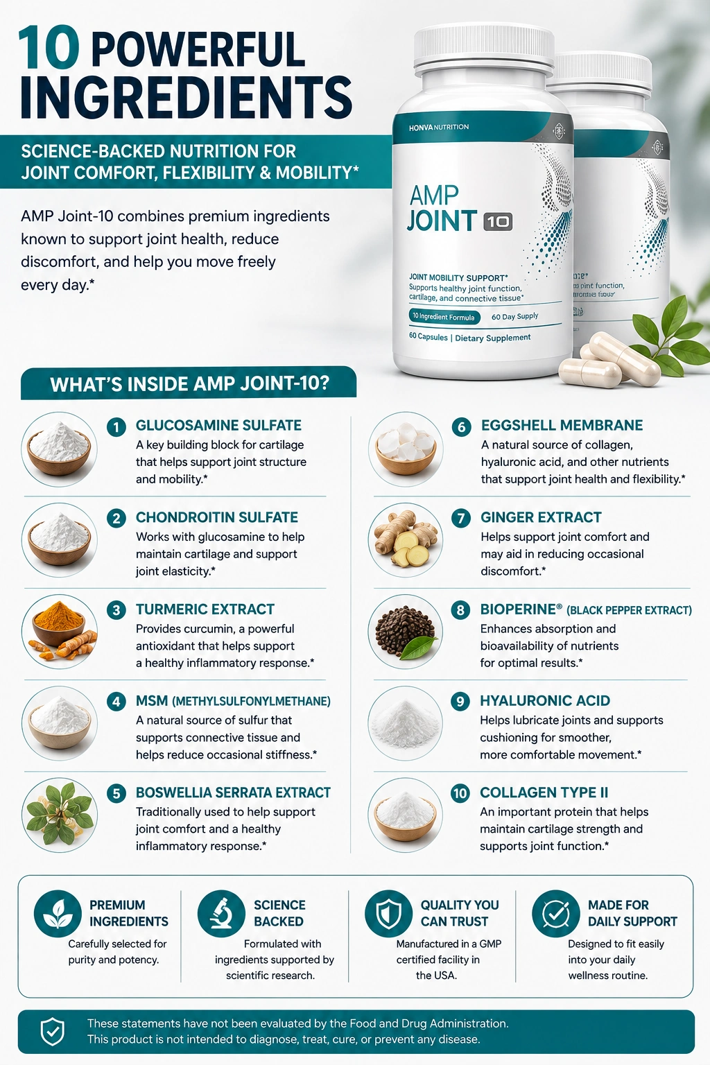 AMP Joint-10 ingredient overview graphic from the manufacturer
